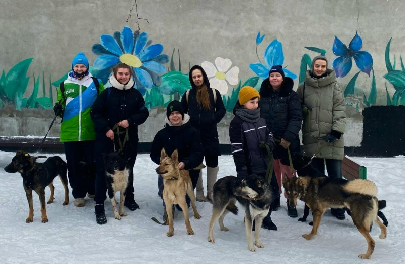 Визит волонтёров в приют.